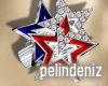 [P] 4th july ring
