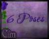 @->- THE Throne (Purple)