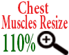 ChestMusclesResize 110%