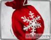 WV: Christmas Pouch