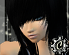 [R] Hayley Noir+Plat