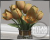 ~M~ I Bexley Tulips