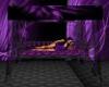 Purple Black Canopy Bed