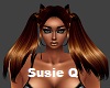 CopperTop Susie Q