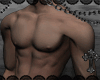 mesh body DRV