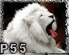 WHITE LION