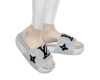 slides lv white