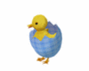 Cute Baby Duck Animated