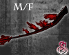 Dragon Tail Red M/F