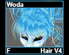 Woda Hair F V4