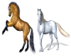 [ML] Horses