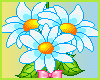 [R] Flower Sticker