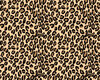 Cheetah Bra
