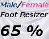 Male/Fem Foot Scaler 65%