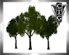 CTG SUMMER TREES -3