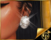 GP*Earrings Biah