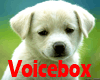 VB) Puppy VoiceBox