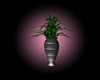 *K* Gallery Potted Plant