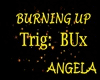 BurningUp trig:BUx