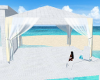 Beach Canopy