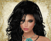 RLL Blue Bundles
