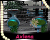 AXL Unique Plant Duo