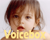 Adm Baby Voices box