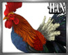 [H]Chicken Rooster*Furn