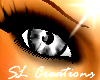 [SL]Eyes