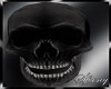 [S]Blk Skull Ghost Rider