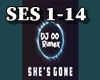 Shes Gone (Remix)
