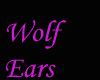 Grey/Purple Wolf Ears