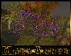 Utopia Tree Purpleflower