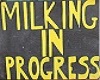Milking in progress