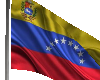 bandera Venezuela movi