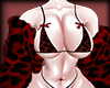 Coat Red Jaguar