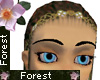 Forest Elven Earth