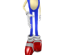 Mascot Body