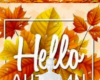 Fall / Autumn Background