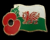 fem) welsh poppy badge