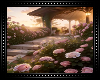 ♡ Pink Roses Garden BG