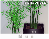 Mun | Bambo Plant DRVB