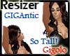 Resizer/Scaler GIGA M/F