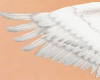 Goddess  Wings (R)