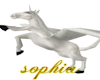pegasus
