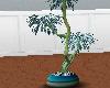 Blue Potted Plant