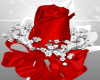 Wedding Rose