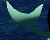 [V] Pirate shark tail