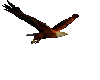 Animated flying eagle