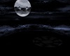 Dj Moonlight ♫